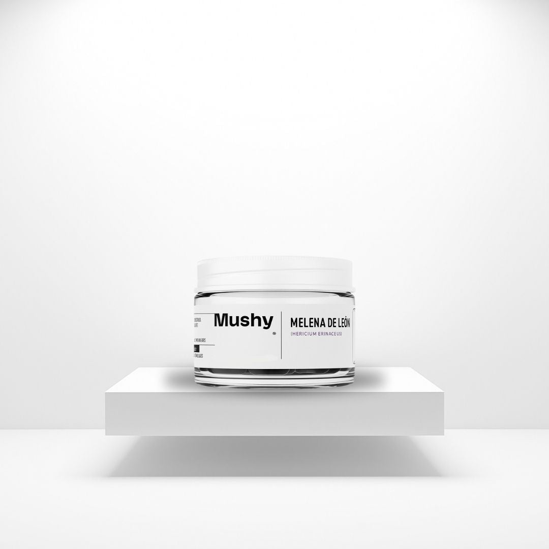 Gray helmet for bikers